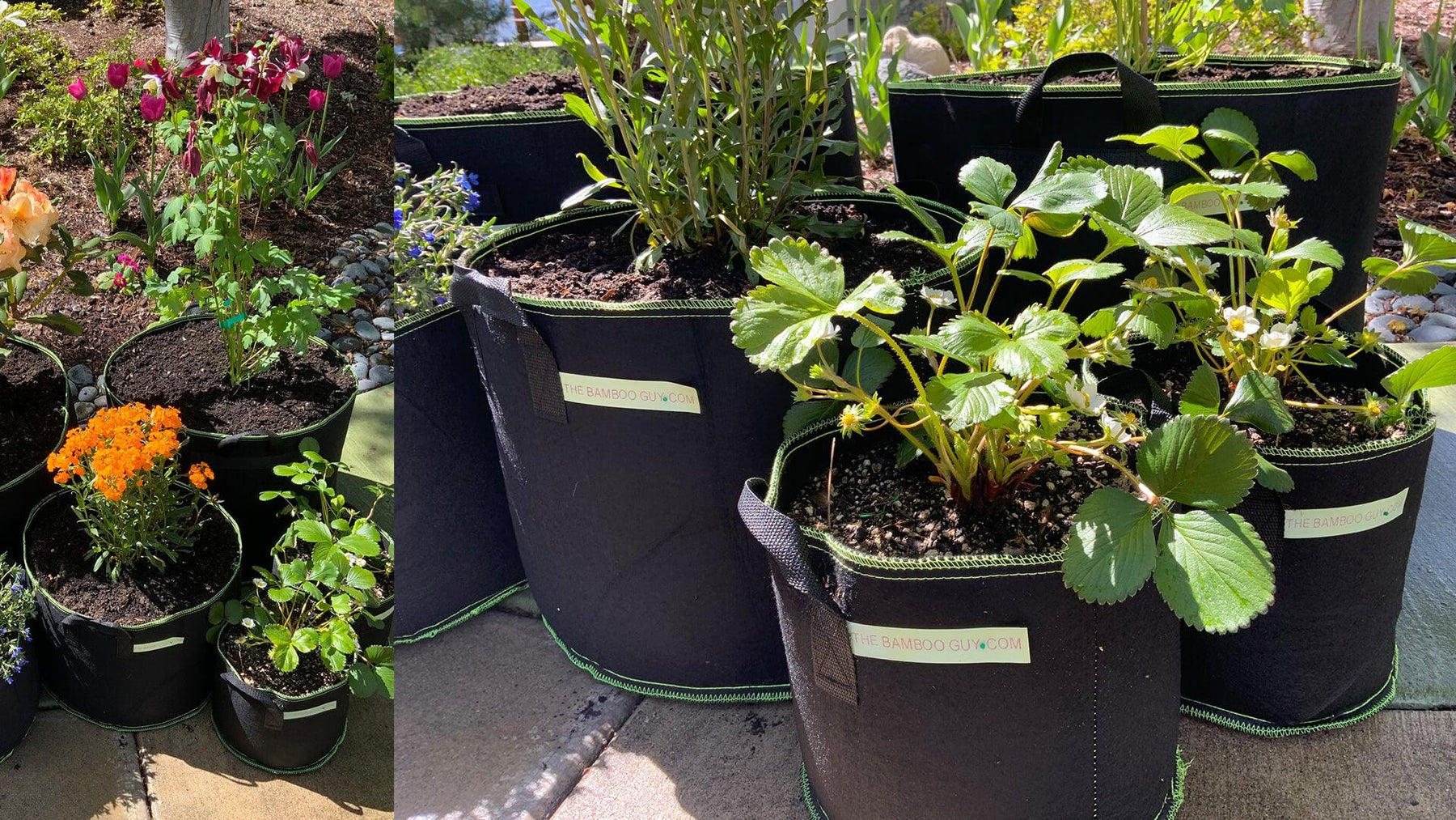 Plant Grow Bags For Your Garden