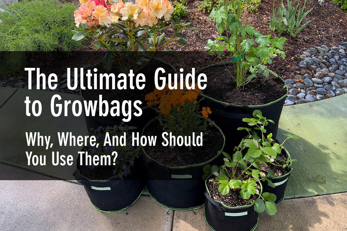 The Ultimate Guide to Growbags – Why, Where, And How Should You Use Them? - The Bamboo Guy