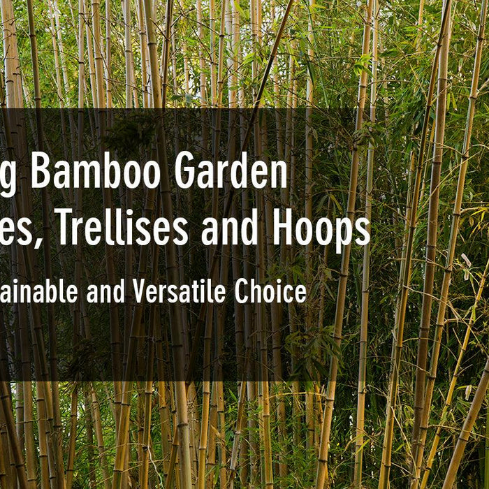 Using Bamboo Garden Stakes, Trellises and Hoops: A Sustainable and Versatile Choice - The Bamboo Guy
