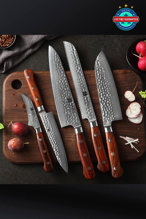 Xinzuo B9 5 Pcs Damascus Chef Knife Set 67 Layer Full Tang Rosewood Handles