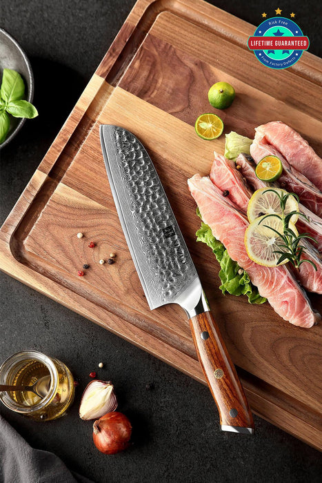 Xinzuo B13D 67 Layer Japanese Damascus Santoku Knife