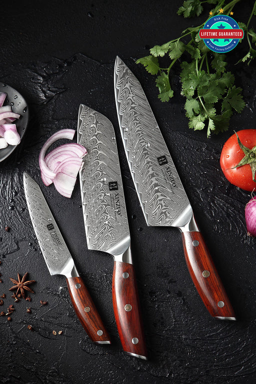 Xinzuo B27 3 Pcs 67 Layer Damascus Chef knife Set with Utility & Santoku Knife