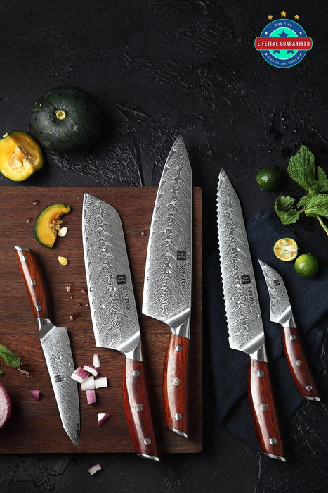 Xinzuo B27 5 Pcs 67 Layer Damascus Steel Chef knife Set
