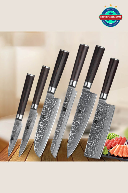 Xinzuo B1H 6 Pcs 67 Layer Damascus Steel Chef Knife Set with Pakka Wood Handle