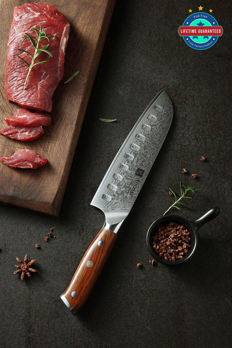 Xinzuo B13R 67 Layer VG10 Japanese Damascus Santoku Knife