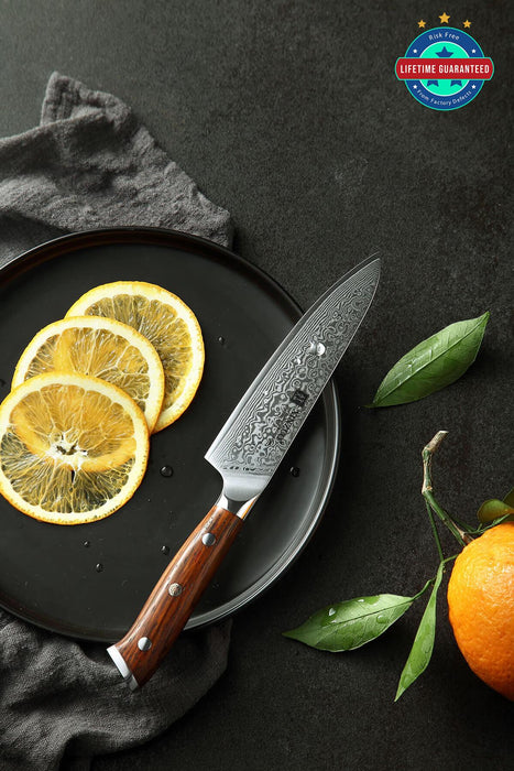 Xinzuo B13R 67 Layer Japanese Damascus Utility Knife