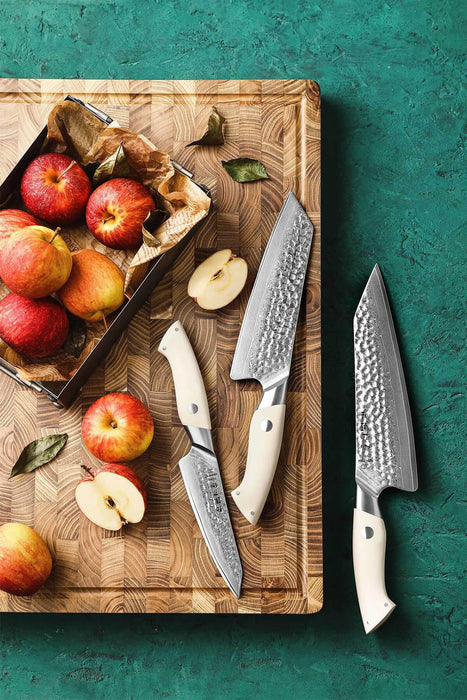 HEZHEN B38H 3 Pcs 67 Layer Damascus Chef Knife Set with White G10 Handle