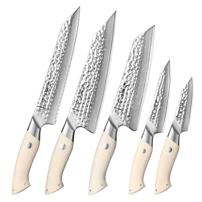 HEZHEN B38H 5 Pcs 67 Layer Japanese Damascus Chef Knife Set White G10 Handles 10