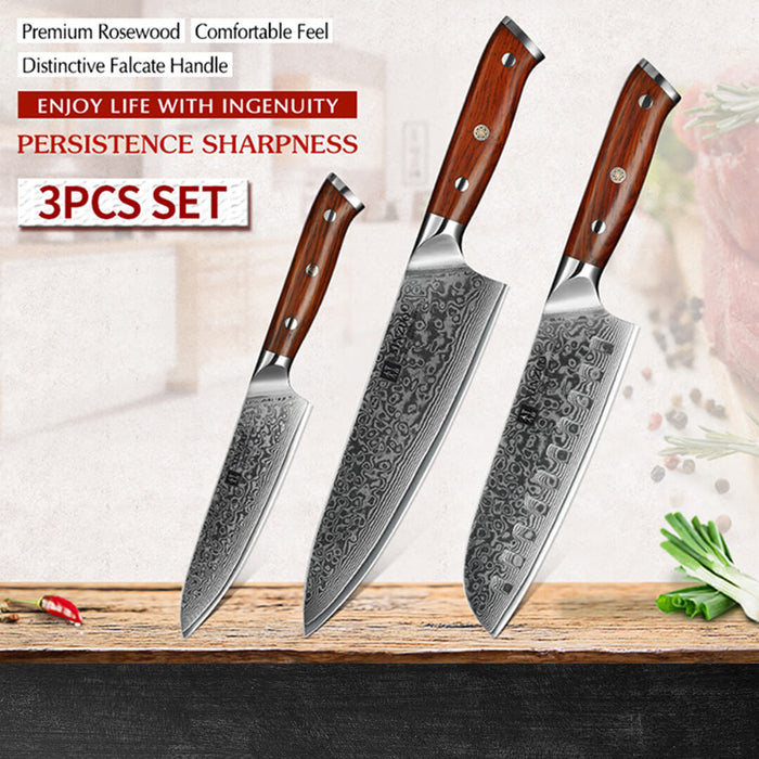 Xinzuo B13R 3 Pcs 67 Layer Damascus Steel Knife set
