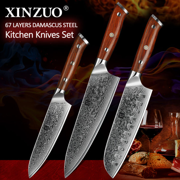 3 Pcs 67 Layer Damascus Steel Kitchen Knife set