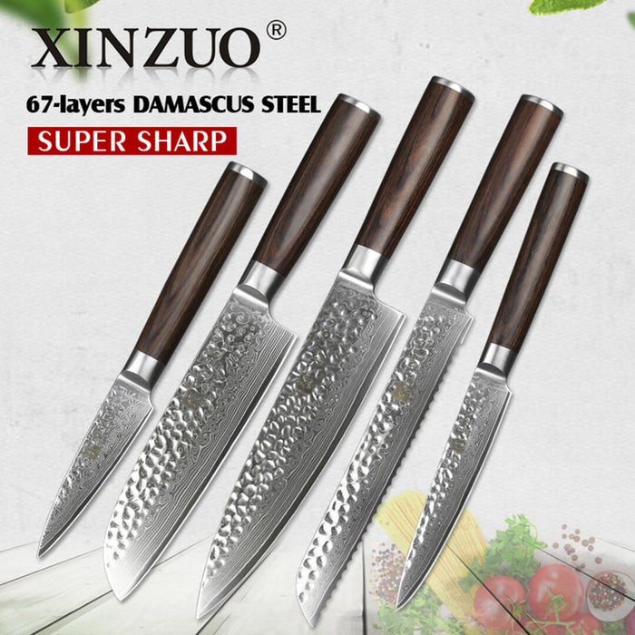 Xinzuo B1H 5 Pcs 67 Layer Damascus Steel Knife Set 