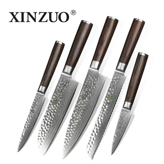 Xinzuo B1H 5 Pcs 67 Layer Damascus Steel Knife Set 4