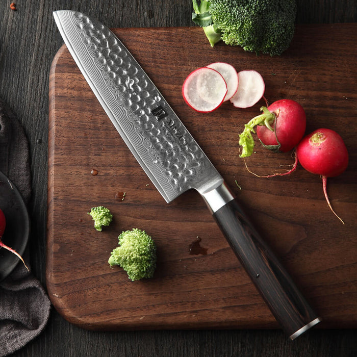 Xinzuo B1H 6 Pcs 67 Layer Damascus Steel Chef Knife Set 3