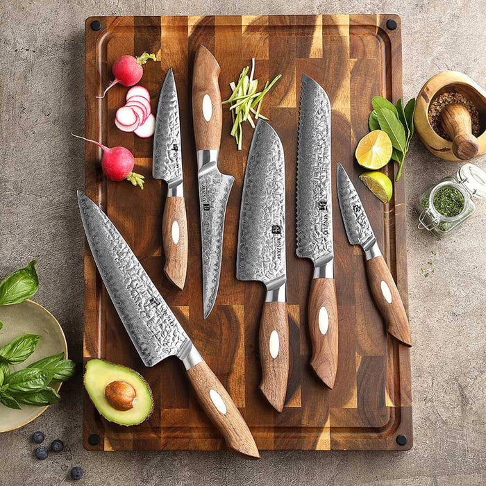 Xinzuo B46W 6 Pcs Damascus Chef Knife Set 67 Layer Genuine Japanese AUS-10 Steel
