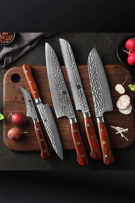 Xinzuo B9 5 Pcs Damascus Chef Knife Set 67 Layer Full Tang Rosewood Handles