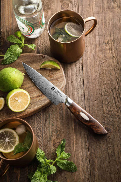 Xinzuo B46D Damascus Utility Knife Dessert Ironwood Handle