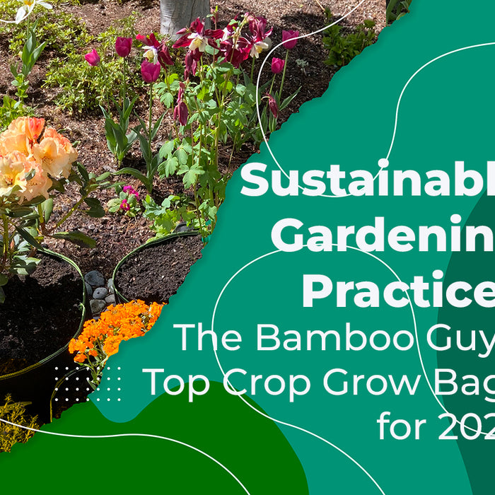 Sustainable Gardening Practices: The Bamboo Guy's Top Crop Grow Bags for 2023