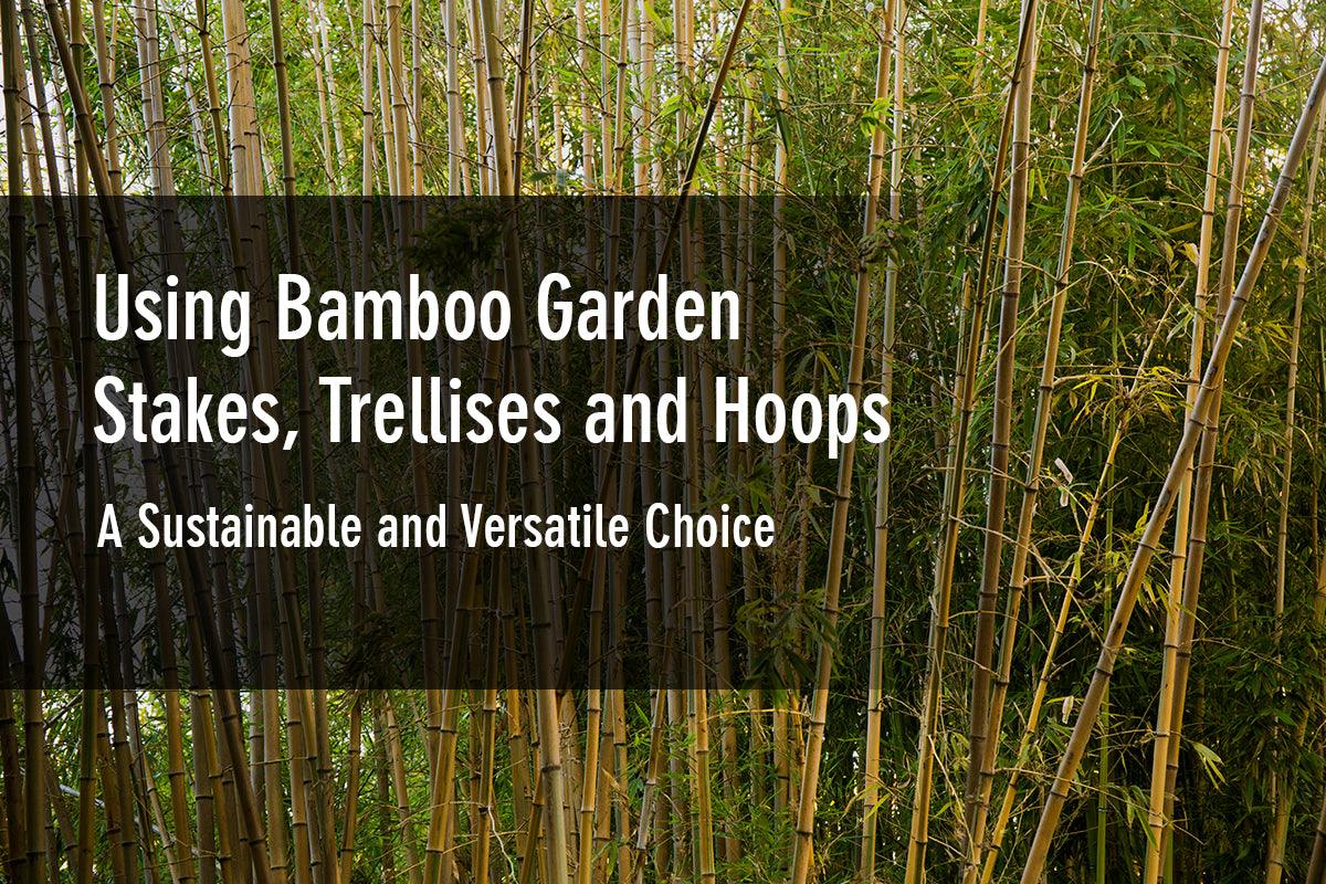 Using Bamboo Garden Stakes, Trellises and Hoops: A Sustainable and Versatile Choice - The Bamboo Guy