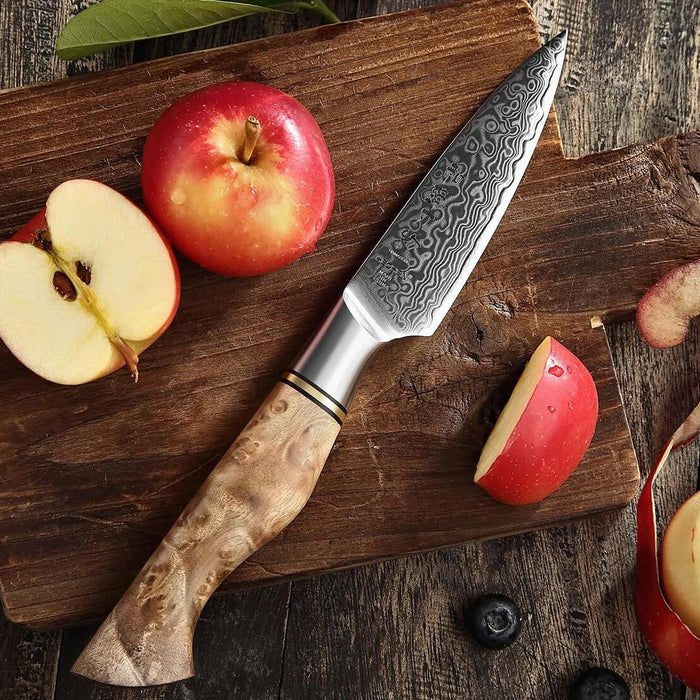 What Is A Paring Knife And How Do You Use It?