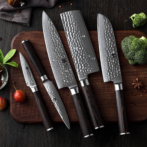 Xinzuo B1H 5 Pcs 67 Layer Damascus Steel Chef Knife Set with Pakka Wood Handle