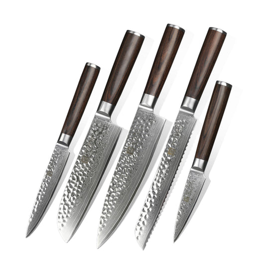 Xinzuo B1H 5 Pcs 67 Layer Damascus Steel Chef Knife Set with Pakka Wood Handle