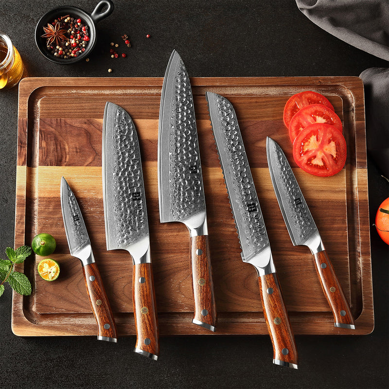 Xinzuo B13D 5 Pcs 67 Layer Damascus Santoku Knife Set North