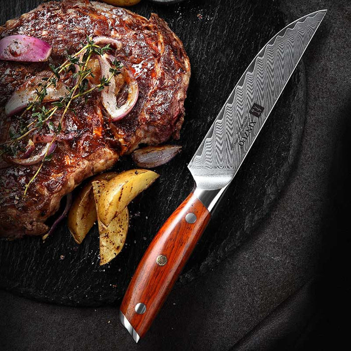 Xinzuo B27 5" 67 Layer Japanese Damascus Steak Damascus Steel Steak Knife