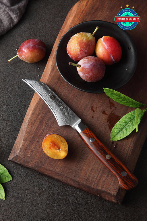 Xinzuo B9 3.5" Paring Knife Fruit Knife Japanese Style 67 Layers Damascus Steel
