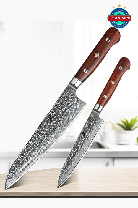 Xinzuo B9 2 Pcs 67 Layers Damascus Steel Kitchen Knife Set