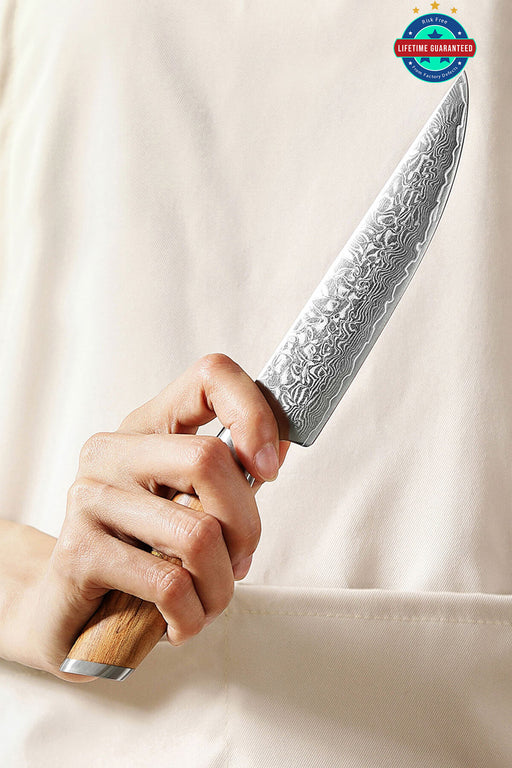 XINZUO B37 Luxury Steak Knife 73 Layers Damascus Steel with Powder Steel Blade Core Olive Wood Handle