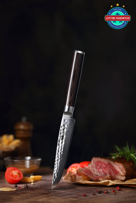 Xinzuo B1H 67 Layer Japanese Damascus Steak Knife