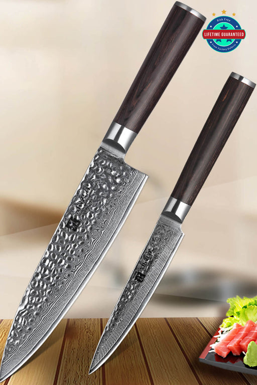 Xinzuo B1H 2 Pcs 67 Layer Damascus Steel Chef and Utility Knife Set with Pakka Wood Handle