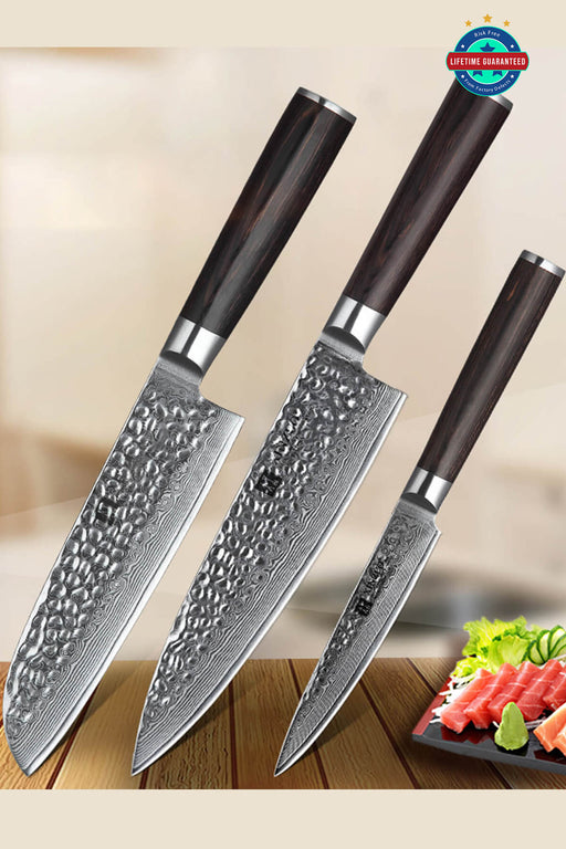 Xinzuo B1H 3 Pcs 67 Layer Damascus Steel Knife Set with Pakka Wood Handle