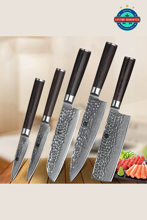 Xinzuo B1H 5 Pcs 67 Layer Damascus Steel Chef Knife Set with Pakka Wood Handle Open Box