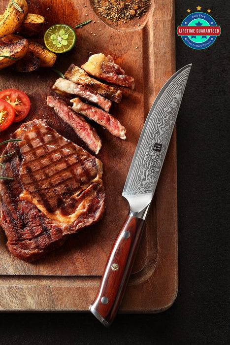 Xinzuo B13R 67 Layer VG10 Damascus Steak Knives