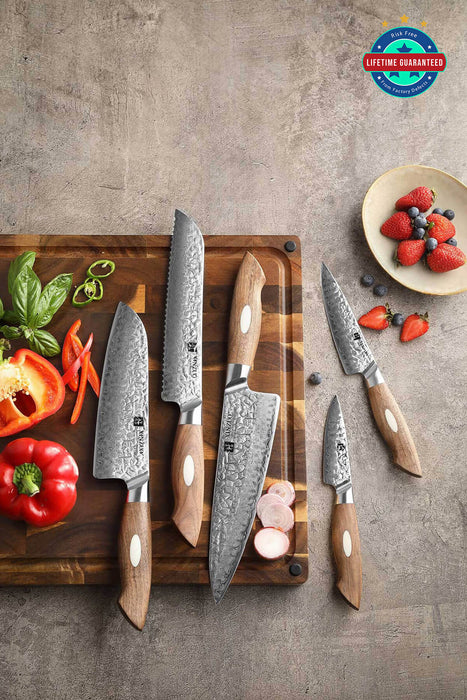 Xinzuo B46W 5 Pcs Damascus Chef Knife Set