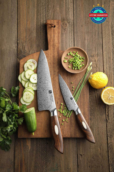 Xinzuo B46D 2 Pcs 110 Layer Damascus Chef Knife Set