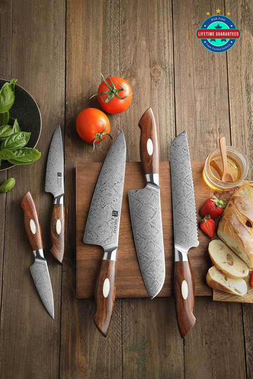 Xinzuo B46D 5 Pcs 110 Layer Damascus Chef Knife Set Desert Ironwood Handles