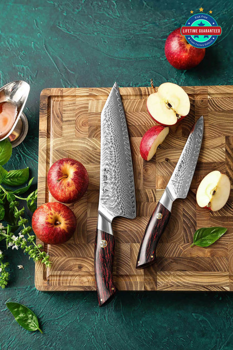 HEZHEN B38 2 Pcs 73 Layer Damascus Chef Knife Set