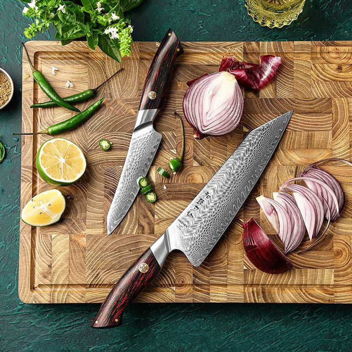 HEZHEN B38 2 Pcs 73 Layer Damascus Chef Knife Set 4