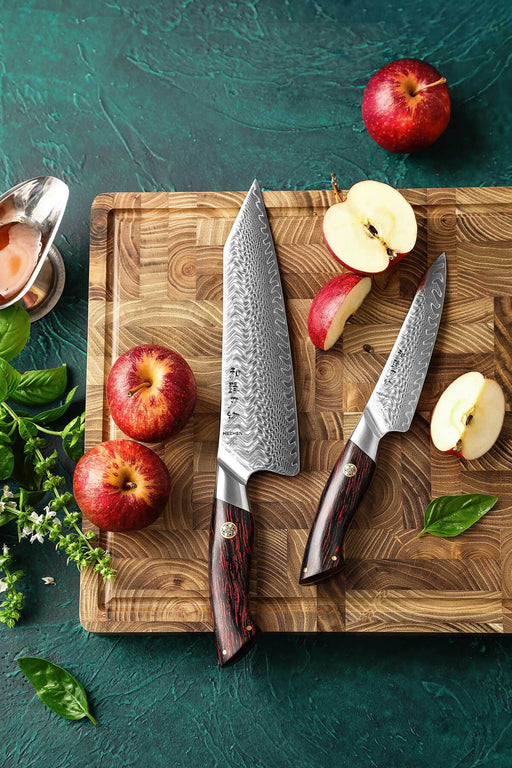 HEZHEN B38 2 Pcs 73 Layer Damascus Chef Knife Set