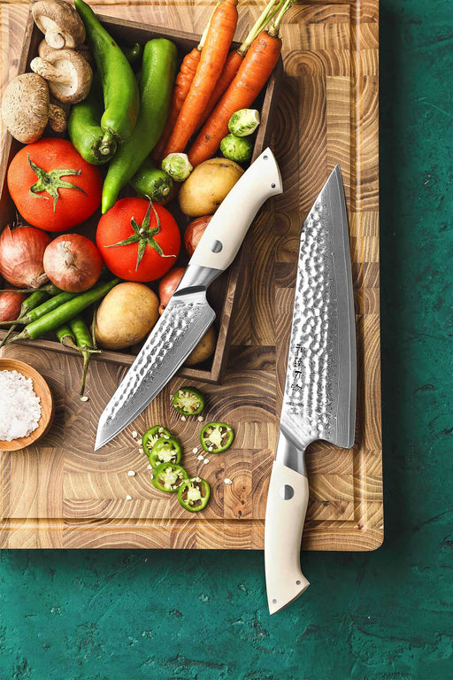 https://www.thebambooguy.com/cdn/shop/files/HEZHEN-B38H-2pcs-67-Layer-Damascus-Chef-Knife-Set-with-Utility-Knife-White-G10-Handles-1_512x769.jpg?v=1699749059