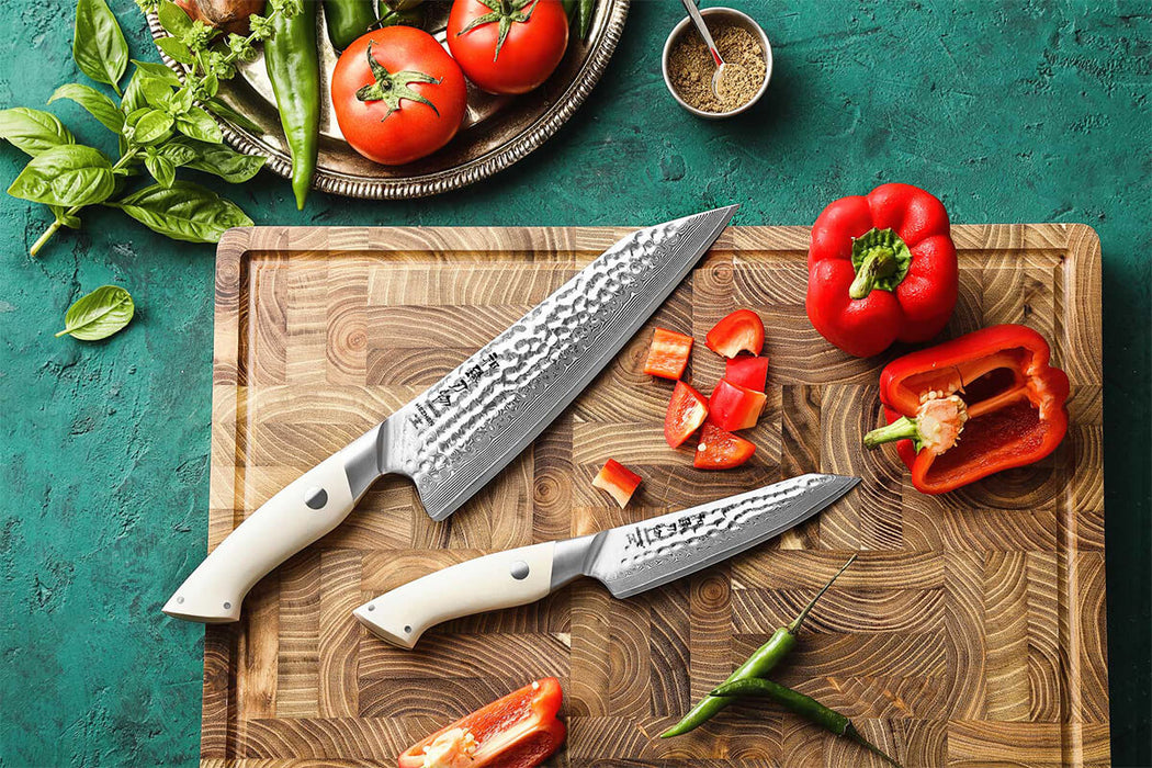 HEZHEN B38H 2 Pcs 67 Layer Damascus Chef Knife Set with White G10 Handle 2