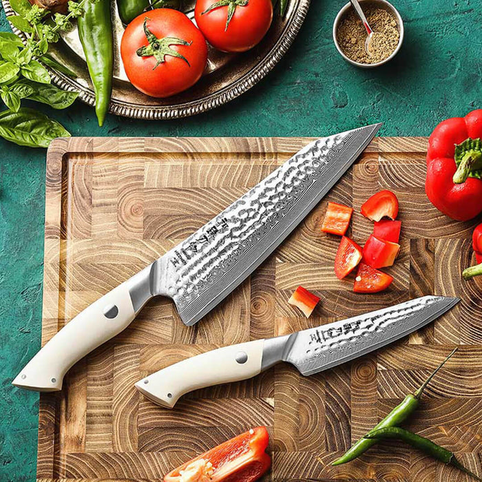 HEZHEN B38H 2 Pcs 67 Layer Damascus Chef Knife Set with White G10 Handle 4