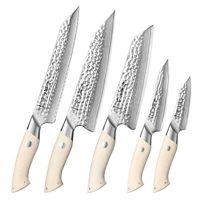 HEZHEN B38H 5 Pcs 67 Layer Japanese Damascus Chef Knife Set White G10 Handles 10