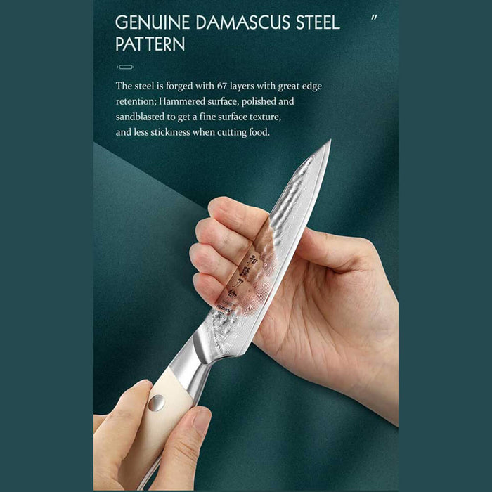 HEZHEN B38H 7 Pcs 67 Layer Damascus Steel Knife Set 8