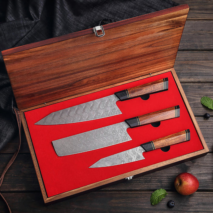 HEZHEN Retro F2 3 Pcs 110 Layer Damascus Steel Knife Set with Desert Ironwood Handle gift box