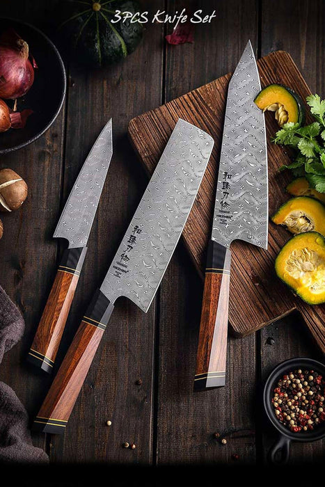 HEZHEN Retro F2 3 Pcs 110 Layer Damascus Steel Knife Set