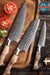 Hezhen 3pcs Knife Set Damascus Steel Kitchen Japanese style Chef Utility Santoku Knife - The Bamboo Guy