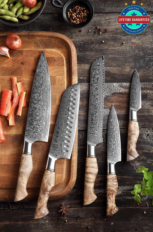 Hezhen B30 5pcs Kitchen Knives Set Damascus Steel Chef Santoku Utility Bread Paring